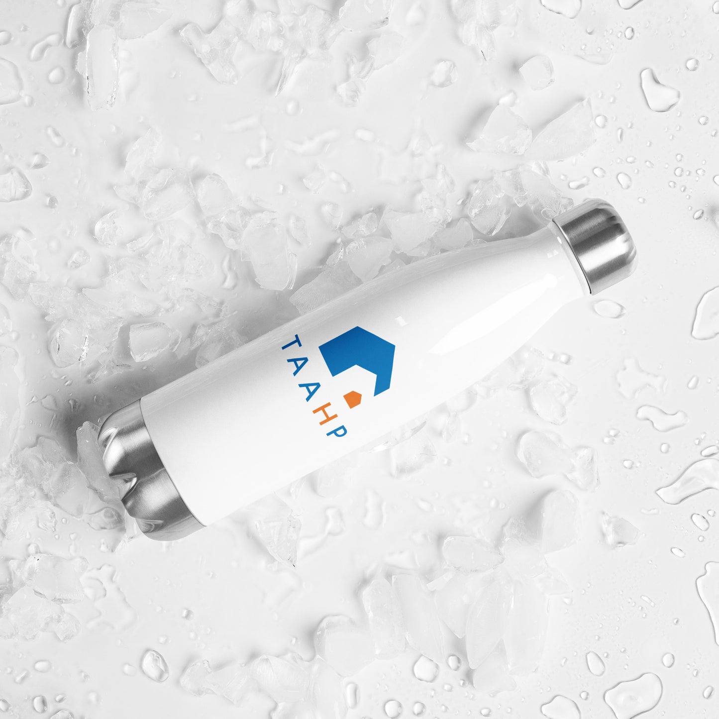 Stainless Steel Water Bottle - TAAHP Logo - COLOR